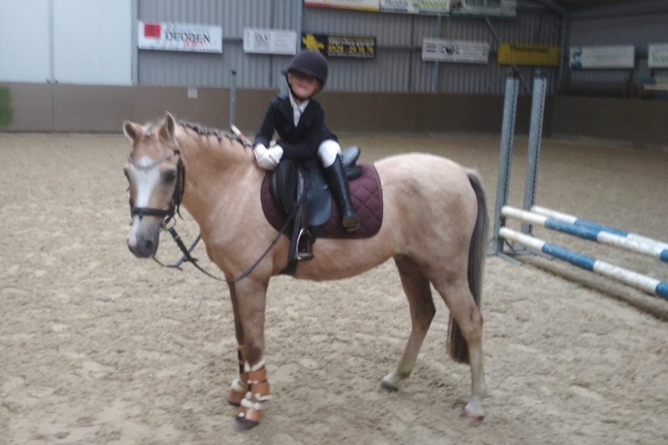 lid-2019-Jill-Westenbrink-pony-Yellow-Boy-CT-02_PonyClub-Meppel lid-2019-Jill-Westenbrink-pony-Yellow-Boy-CT-02_PonyClub-Meppel