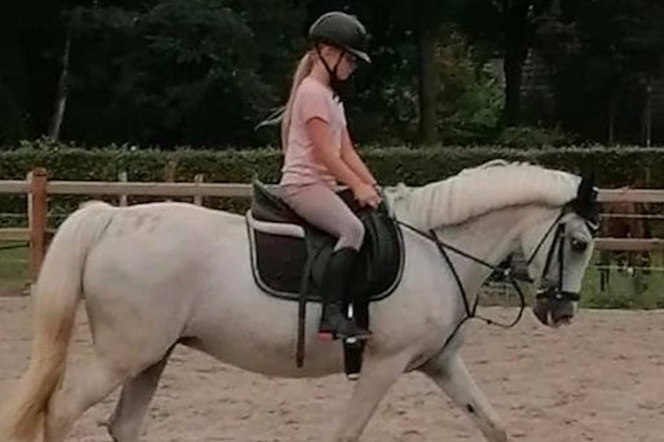 lid-2020-Nikki-Mulder-pony-Melga-CT-02_Ponyclub-Meppel lid-2020-Nikki-Mulder-pony-Melga-CT-02_Ponyclub-Meppel