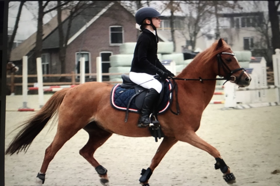lid-2021-Jill-Hamstra-pony-Emmely-CT-04_Ponyclub-Meppel lid-2021-Jill-Hamstra-pony-Emmely-CT-04_Ponyclub-Meppel